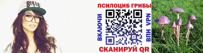 Псилоцибиновые грибы MAGIC MUSHROOMS  дарнет шоп  Сортавала 